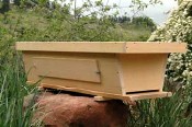 Standard top bar hive